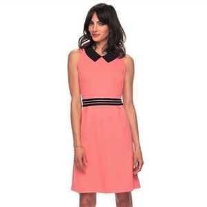 Elle Coral/Black Peter Pan collar dress